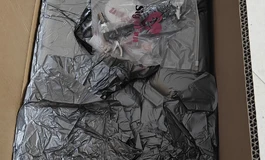 #Sigafun秋岚开箱