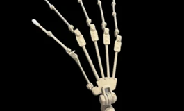 Irontechdoll-东方系列手指骨大升级