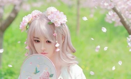 【春天花事】为你下一场樱花雨