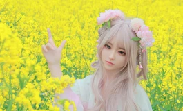 【春天花事】为你下一场樱花雨