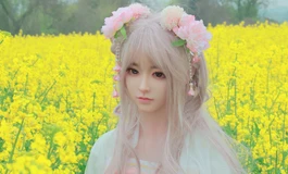 【春天花事】为你下一场樱花雨