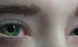 冬天吃香菜，娃娃眼睛082款