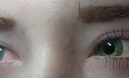 冬天吃香菜，娃娃眼睛082款