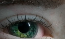 冬天吃香菜娃娃眼睛70-80合集