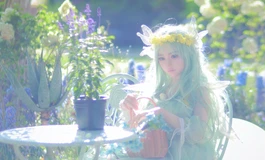 【春天花事】妙依莫奈花园漫游记