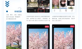 彼之良·心跳合拍｜P图三步法