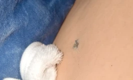 暴雨腿模选购指南（超水腿模和水之道腿模的优缺点对比）