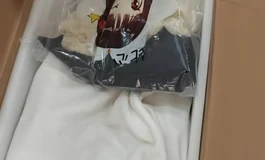 发货发货小萝莉发货