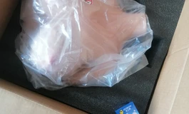 这个双皮奶胸模，太棒了