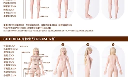 Shedoll全新体型意见征集——欢迎来和我们一起创造理想中的“她”吧