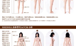 Shedoll全新体型意见征集——欢迎来和我们一起创造理想中的“她”吧