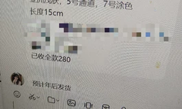 安迪体验杯