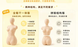 重磅新品｜可装箱便携·全躯干半身款今日正式首发！一个行李箱，带走专属陪伴