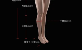 出奈也&娃娃学姐S68带腿无臂半身
