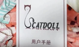 求购catdoll个人求购