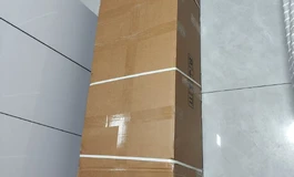序界166开箱