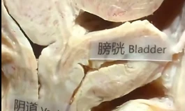 高仿真通道设计浅谈1