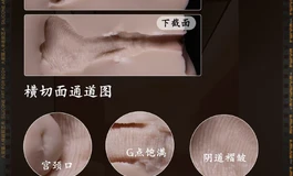 （已售出）200包邮 大能猫真人倒膜004号加软杯子