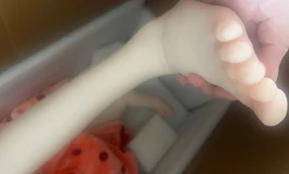 猫家catdoll半松关节1800