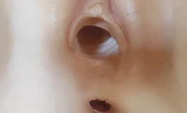 出腿模