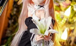 魔物姬 85cm：艾莉亚