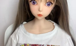 上新2号