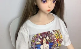 上新2号