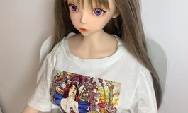 上新2号