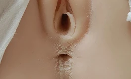 出一个蝴蝶人形娃娃132希尔薇带体装
