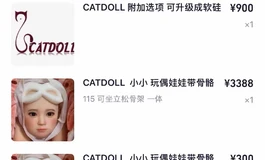 全松骨架catdoll小小硅胶108全套2000