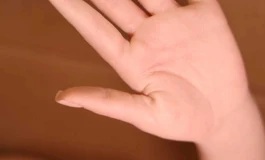 暴雨世界155随便聊聊