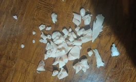 解剖现场，不喜勿点