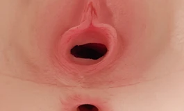 【经验帖】sigafun 040半身体验锐评