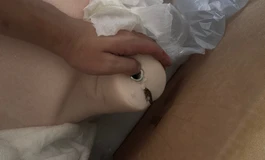 想了一晚上还是决定发帖维护自己的权益