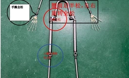 什么是腰改？松紧骨架啪感有什么区别？
