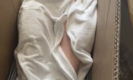 shedoll163硅胶娃娃体验