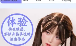 求教各位大佬，新手求推荐