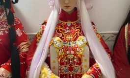 汕头本地出个潮影娃娃一个，单身体500