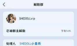 关于shedoll老板解散VIP群
