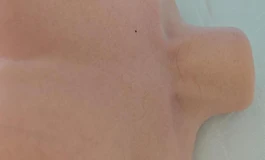 出一个toysheart家的全硅胶（艾莎波娃）