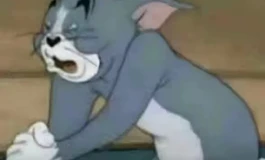 各位兄弟可以推荐一下手感好的裤袜吗，跪求