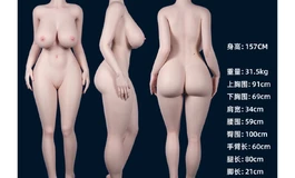 想看看各家的主推身形