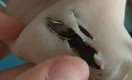 娃娃修复