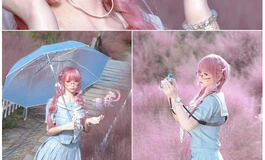 凛秋版花海拾忆