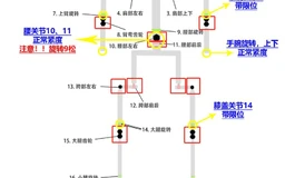 新手在线问这样定制松骨架可以吗，求指教