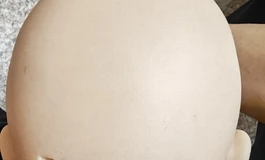 先纳信米悠精品头雕