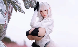 尼尔之姬霸花姬冲撞
