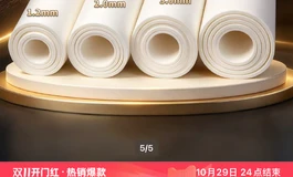 ipp改装