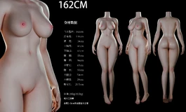 接硅胶代工，关于娃友问，阳光伴侣的身型数据