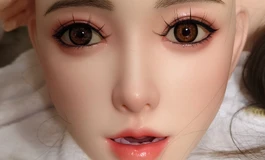 Fudoll60cm 半身体验分享